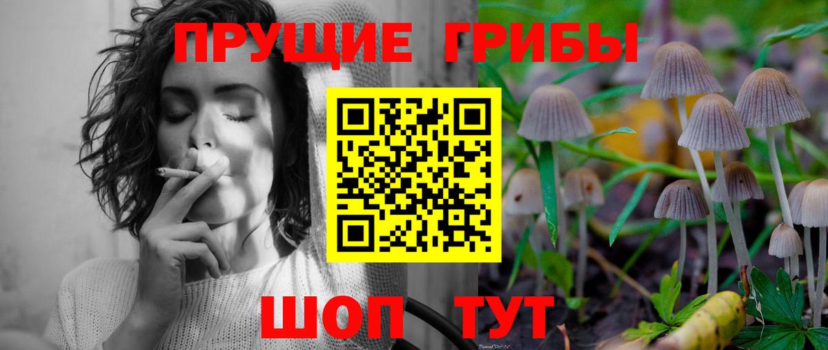 Псилоцибиновые грибы Cubensis  Вход с VPN  Галлюциногенные грибы Magic Shrooms  Кинель 